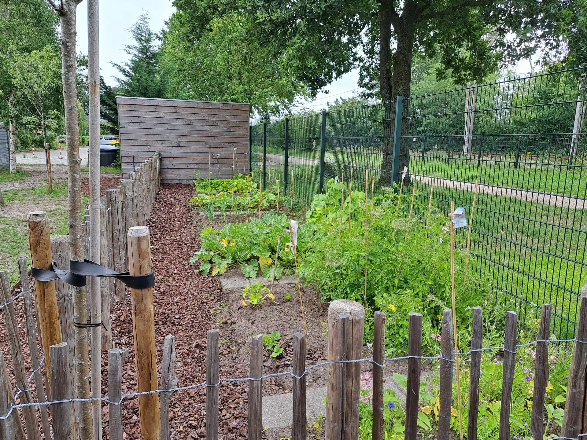 Moestuin Annie MG Groen Schoolplein