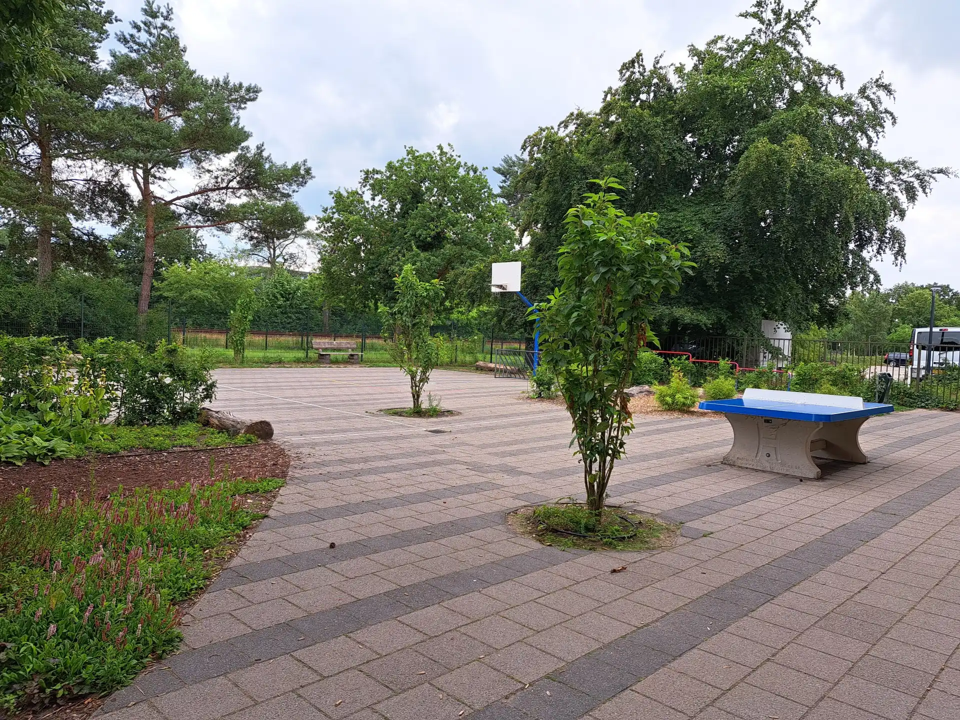 Groen schoolplein basisschool - afbeelding 1